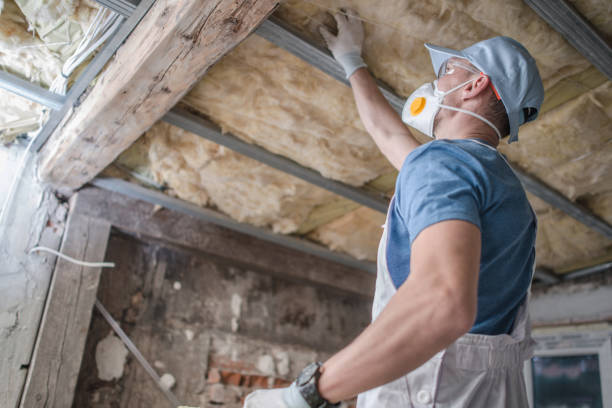 Best Types of Insulation in The Hammocks, FL