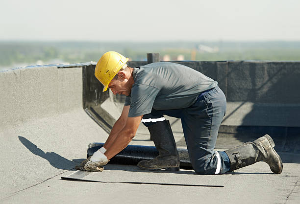Best Insulation Installation Services in The Hammocks, FL